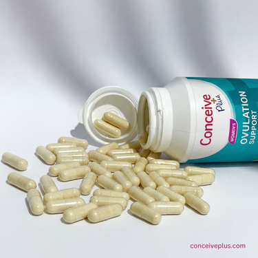 Endometriosis and Fertility: A Comprehensive Guide to Understanding Your Options